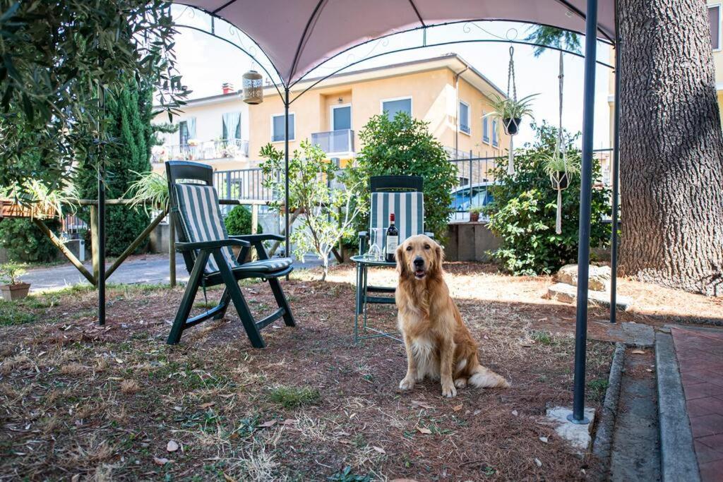 Easy Florence Скандіччі Екстер'єр фото